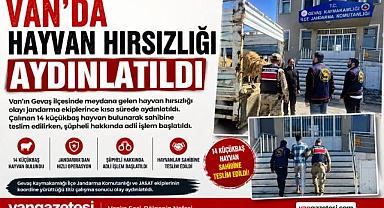 Van’da Hayvan Hırsızlığı Aydınlatıldı