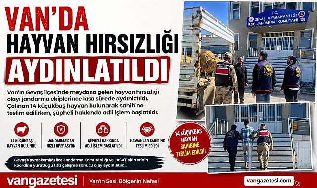Van’da Hayvan Hırsızlığı Aydınlatıldı