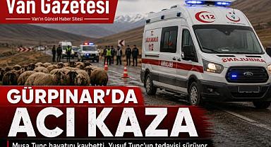 Gürpınar’da Otomobil Koyun Sürüsüne çarptı