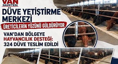 Van'da 400 Düve Yeni Sahiplerini Bekliyor