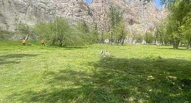 Van'da Emekçi İşçiler Sahada Ter Döktü