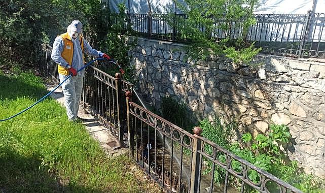 Van’da Larva ve Uçkunlara Karşı Sulak Alanlarda Önlem