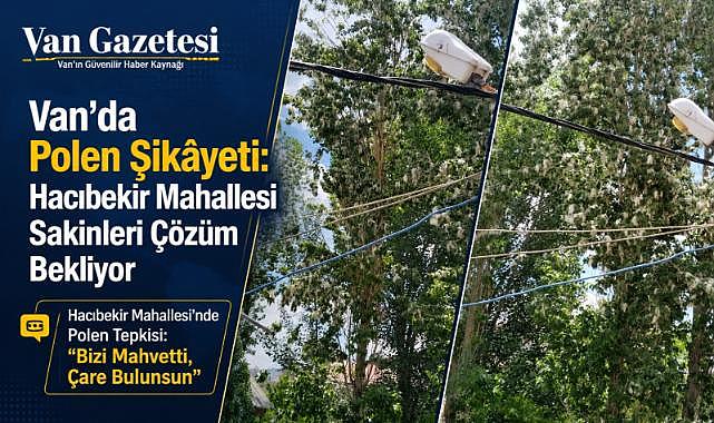 Van’da Polen Şikâyeti