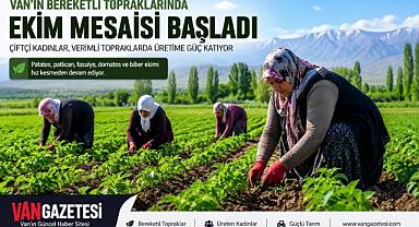 Van'ın Bereketli Topraklarında Sebze Mesaisi Başladı
