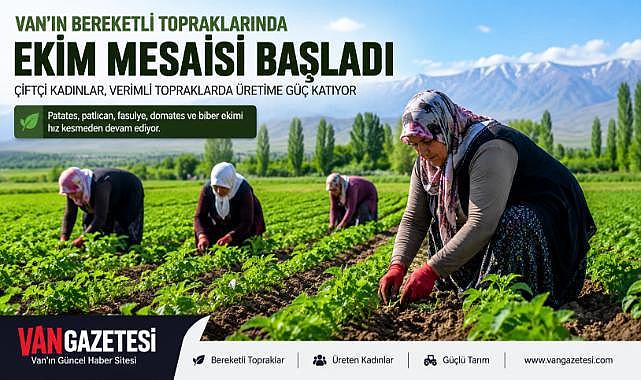 Van'ın Bereketli Topraklarında Sebze Mesaisi Başladı