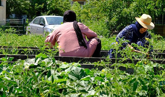 Göçmen Kadınların Dayanışması Toprakta Filizlendi
