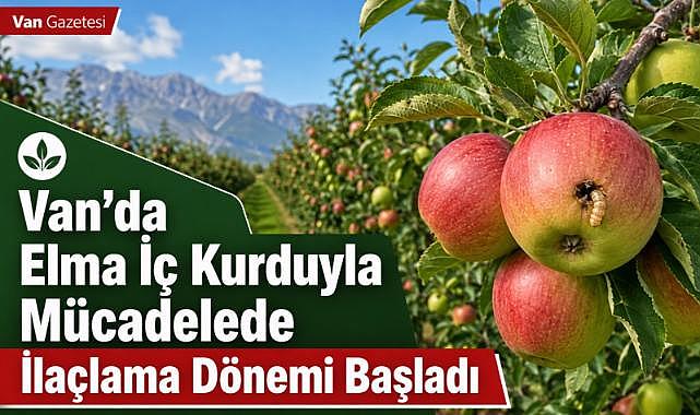 Van’da Elma İç Kurduyla Mücadelede Başladı