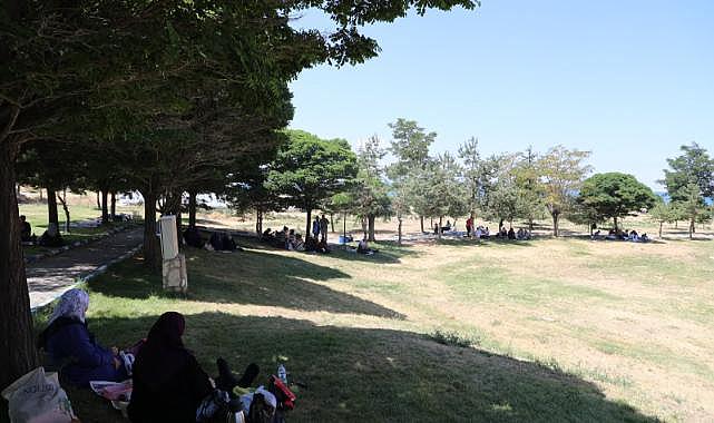 Van Gölü Kıyısında 150 Yaşlıya Piknik Keyfi