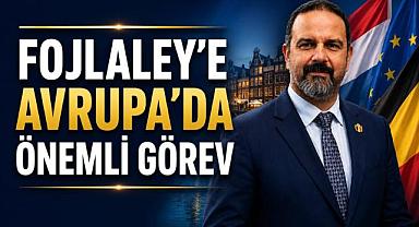 Türk Akademisyen Mehrdad Fojlaley’e Avrupa’da Önemli Görev