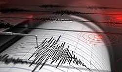 Van'da hissedilmeyen bir deprem oldu
