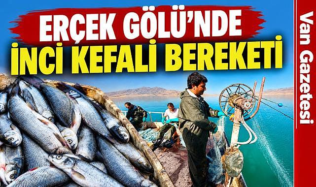 Erçek Gölü'nde İnci Kefali Bereketi