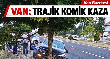 Van'da Kontrolden Çıkan Otomobil Ağaca Çarptı
