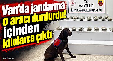Van'da araçtan kilolarca çıktı