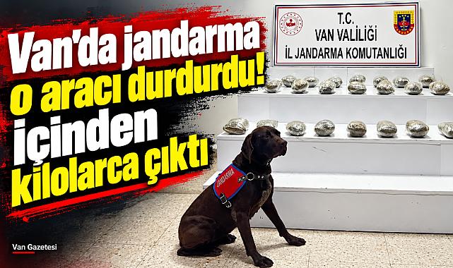 Van'da araçtan kilolarca çıktı