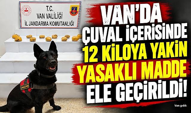 Van'da Çuvalın İçinden Kilolarca çıktı