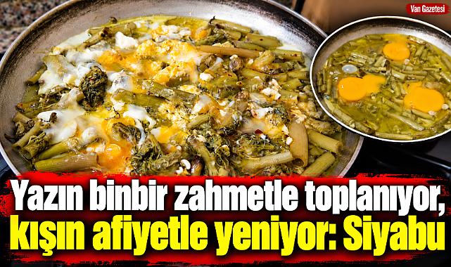 Van'ın unutulmaz lezzeti! Dağdan sofraya Siyabu