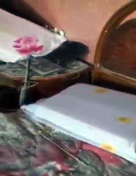 12 Pkk’lının Öldürdüğü Evin Görüntüleri Ortaya Çıktı