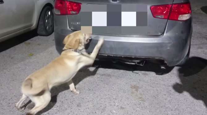 24 Kilo Esrarı Böyle Buldu!