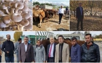 241 Genç Çiftçiye 7.230.000 TL'lik Hibe Desteği Verildi