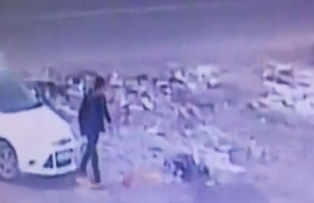 7 Polisi Şehit Eden Terörist Yakalandı