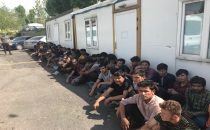 77 KAÇAK GÖÇMEN YAKALANDI