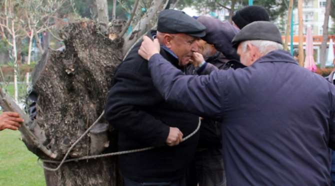 Ağaca Bağlayıp Bahşiş İstediler