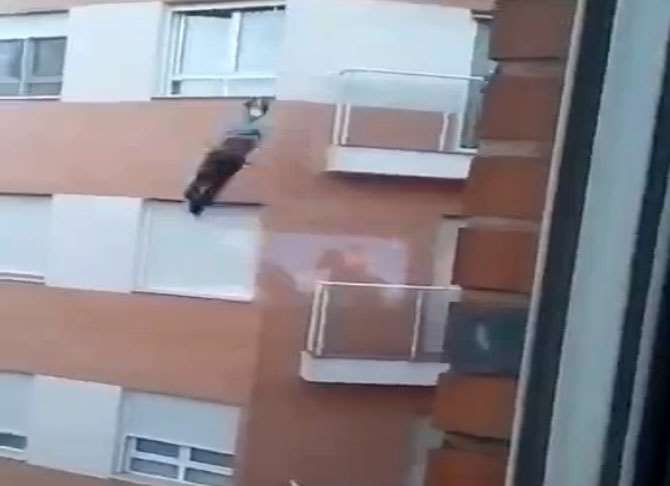 Anahtarlarını Evde Unutması Sonu Oldu