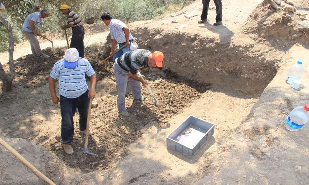 Antik Kavimlerin Genleri Araştırılacak