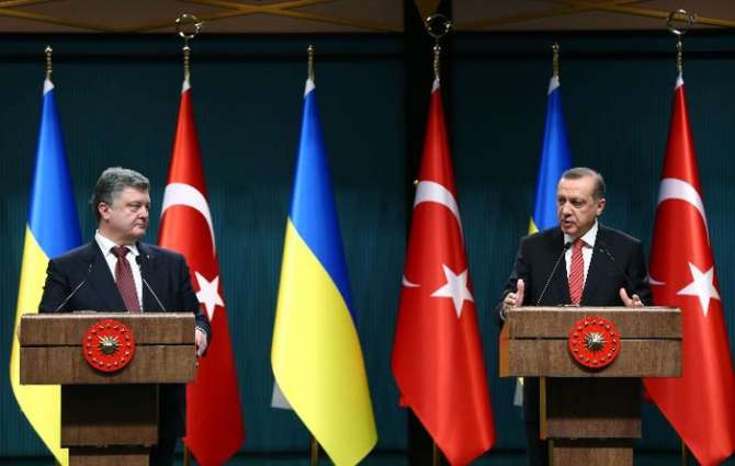 Aym Yerindelik Denetimi Yapamaz, Yapmamalıdır