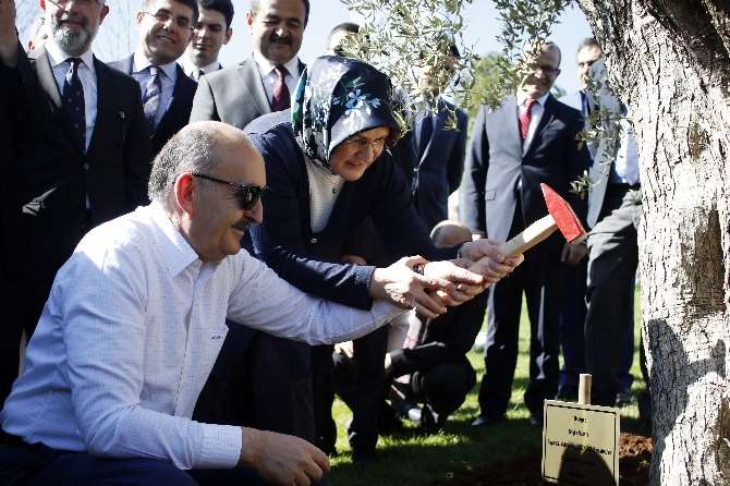 Bakan Müezzinoğlu’ndan Eşine 415 Yıllık Hediye