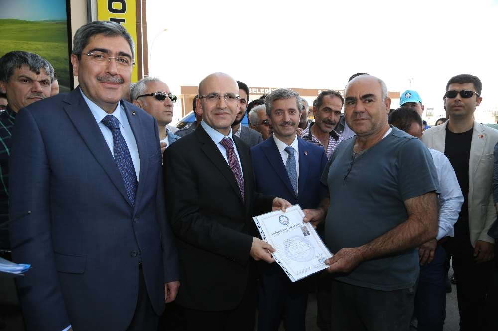 Başbakan Yardımcısı Ruhsat Dağıttı