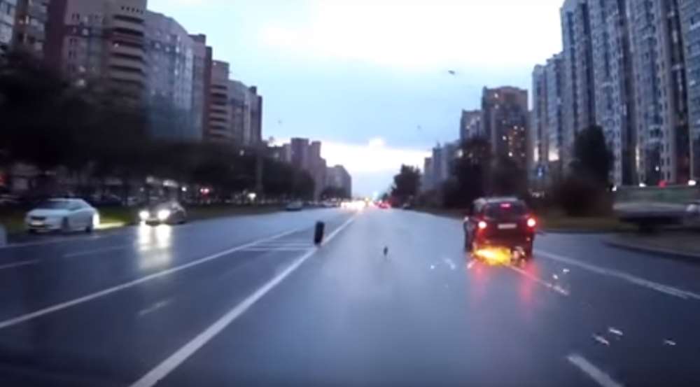 Bir Anda Yola Fırladı!