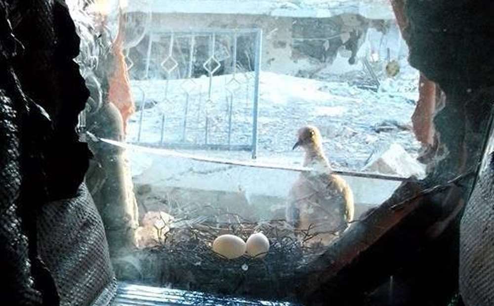 Bu Kare Nusaybin’de Çekildi