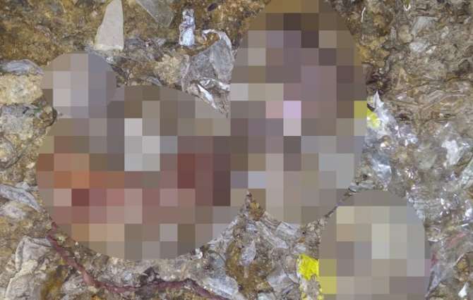 Cenin Skandalına 19 Bin Tl Ceza