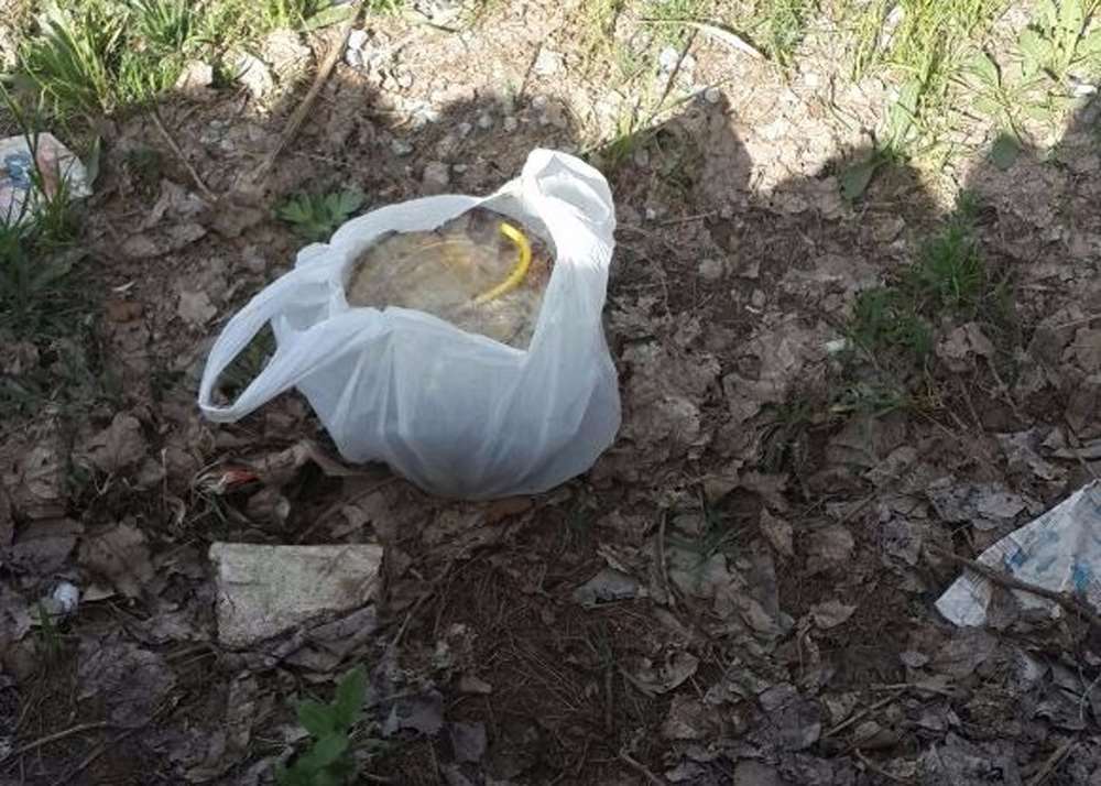 Çocukların Bulduğu Paketten Bomba Çıktı