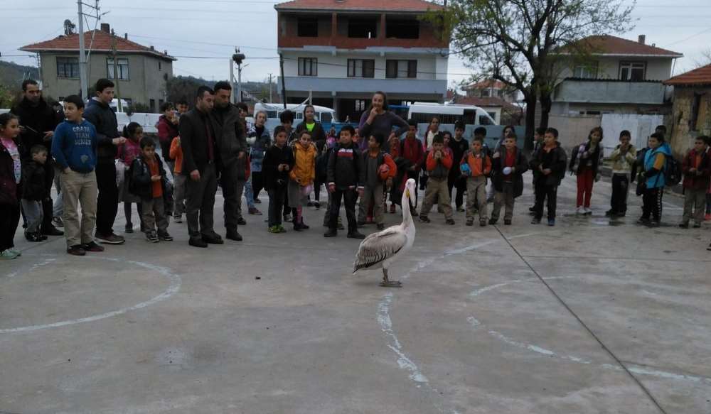 Davetsiz Misafir Öğrencilerin İlgi Odağı Oldu
