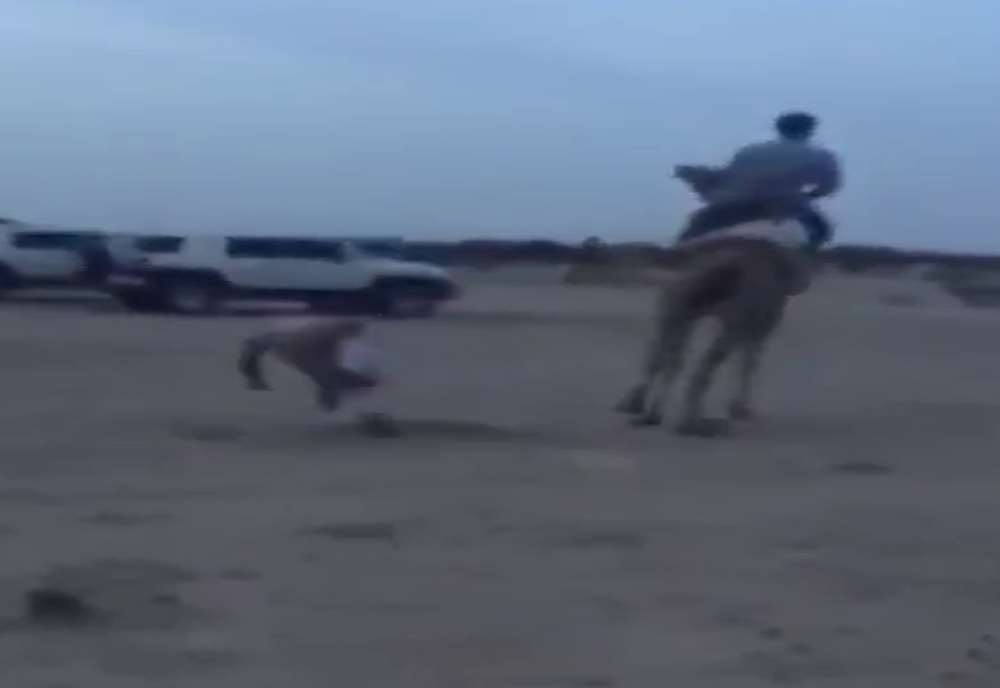 Deveden Unutulmaz Ders