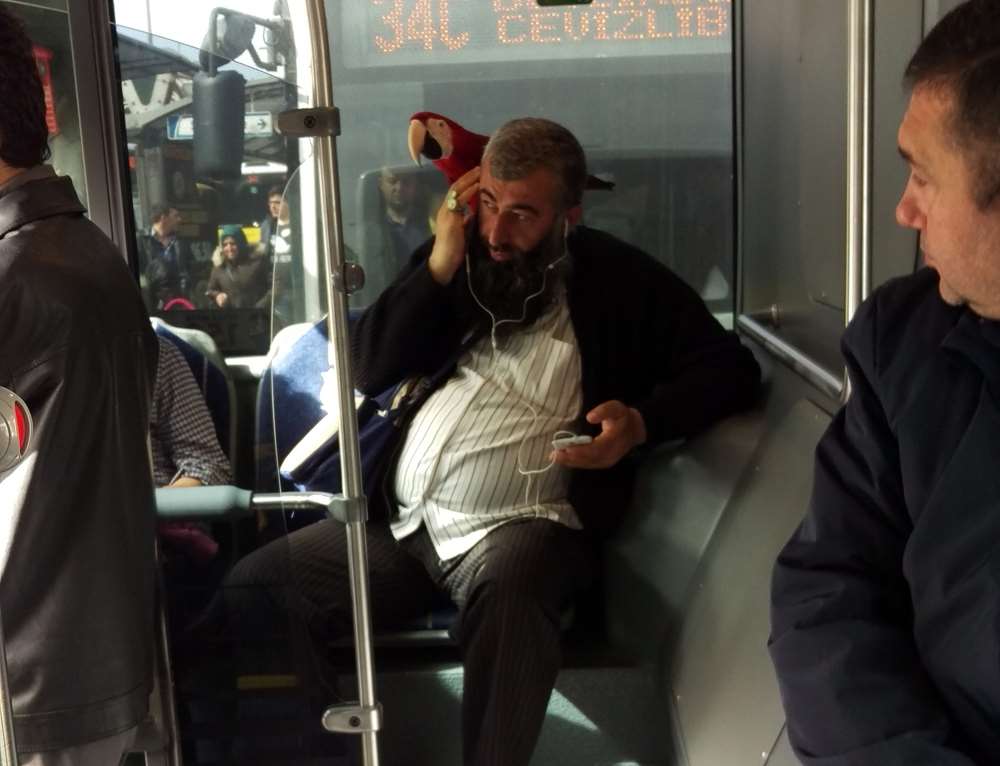 Dikkat Metrobüste Papağan Var