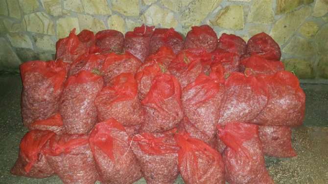 Edirne’de 700 Kilo Midye Ele Geçirildi