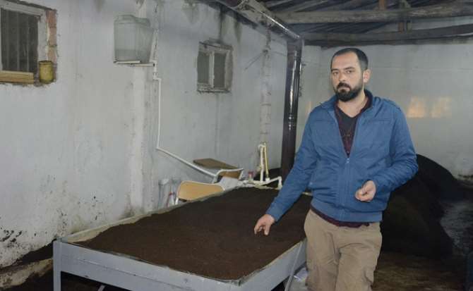 Elinin Altında Tam 800 Bin Solucan Var