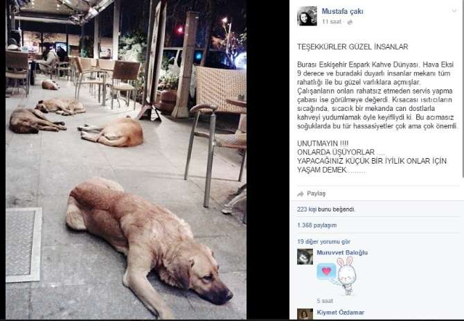 Eskişehir’den ’insanlık’ Fotoğrafı