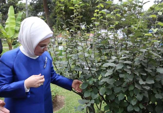 First Lady Peru’da Botanik Bahçesini İnceledi