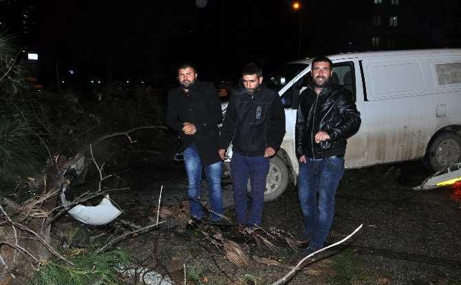 Fırtınanın Devirdiği Ağaç Sonları Oluyordu