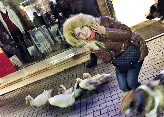 İstiklal Caddesinde Ördek Sürüsüyle Gezdi