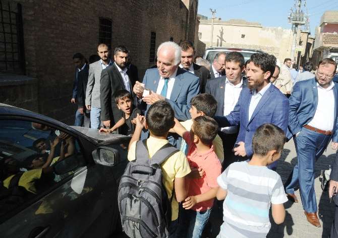 Kamalak Cizre'de