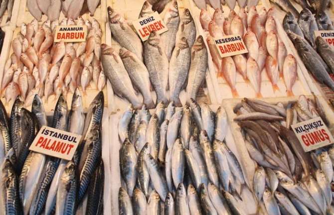 Kar Yağınca Balık Fiyatları Uçtu