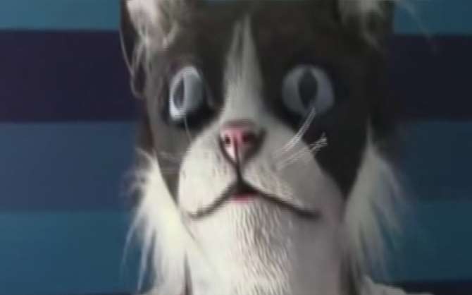 Kediler Dev Bir Kedi Görürse Ne Olur?