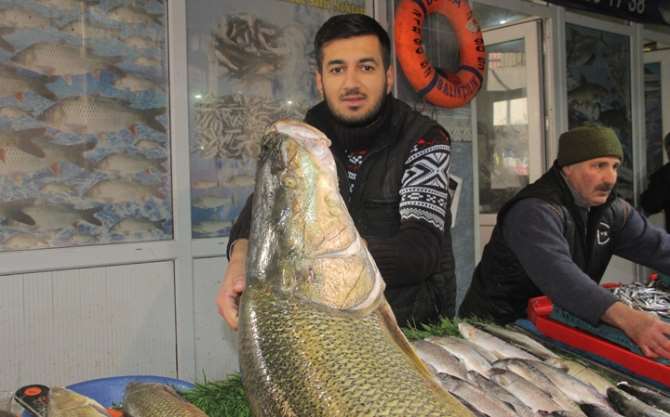 Kilosunu 25 Liradan Satışa Sundu