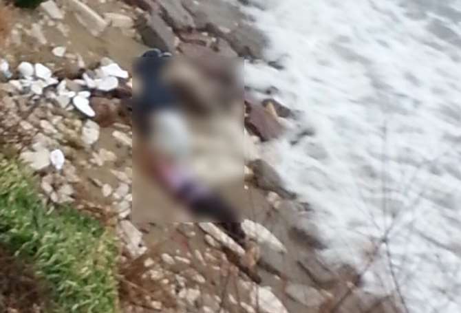 Kıyıda Vatandaşlar Tarafından Bulundular