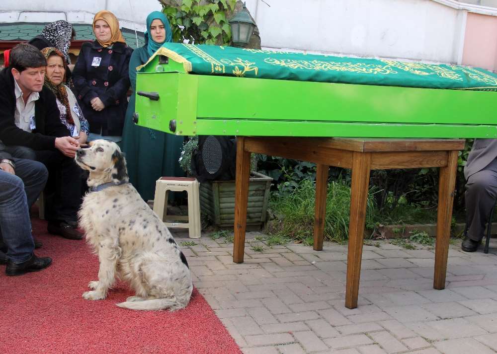 Köpeği Minik Buğra’nın Tabutunun Başından Ayrılmadı